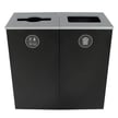 Spectrum Two-Stream Double Cube Recycling Station | Black-Black 