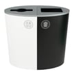 Spectrum Two-Stream Double Ellipse Recycling Station | White-Black 